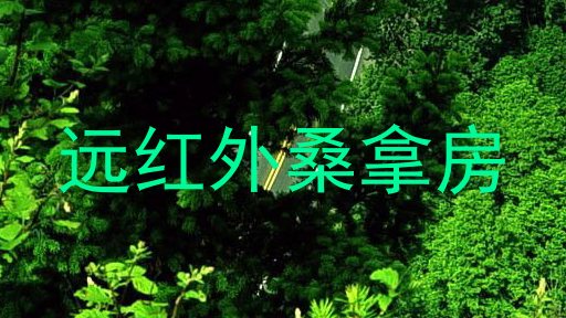 远红外桑拿房