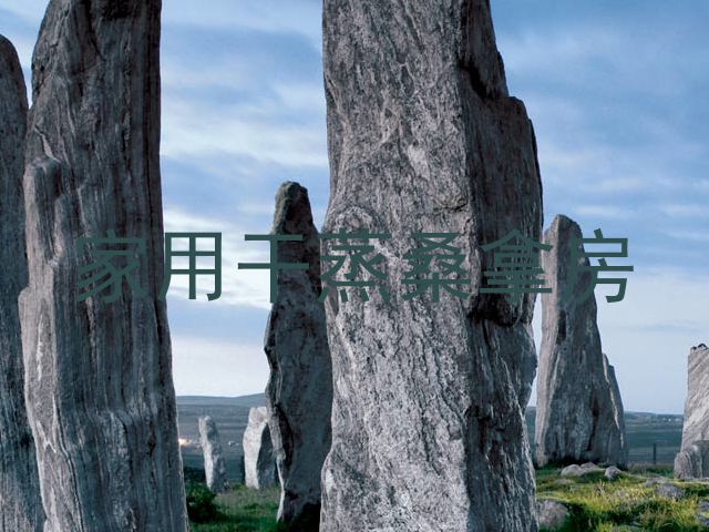 家用干蒸桑拿房