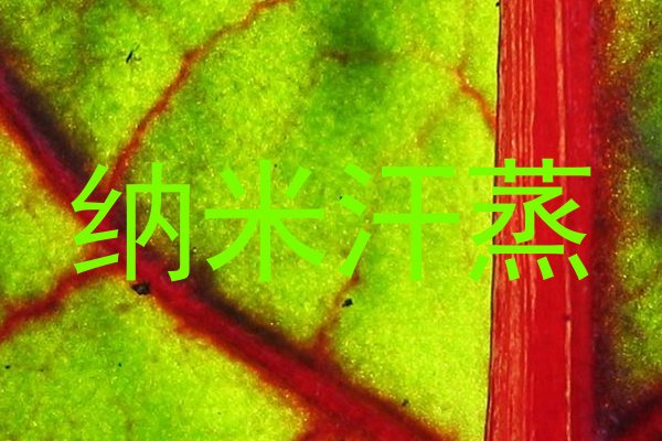 纳米汗蒸