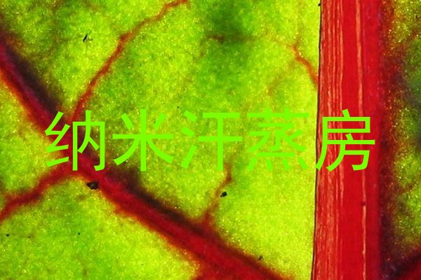纳米汗蒸房