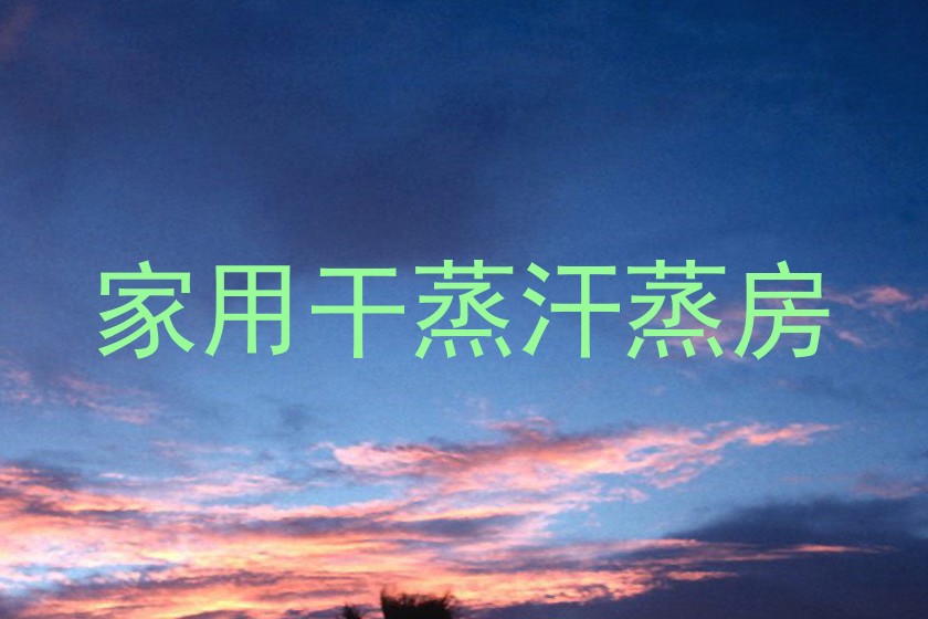 家用干蒸汗蒸房