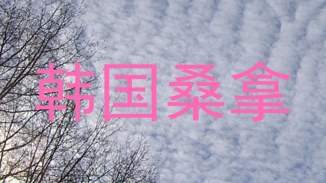 韩国桑拿