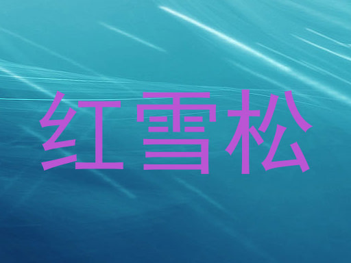 红雪松