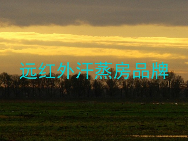 远红外汗蒸房品牌