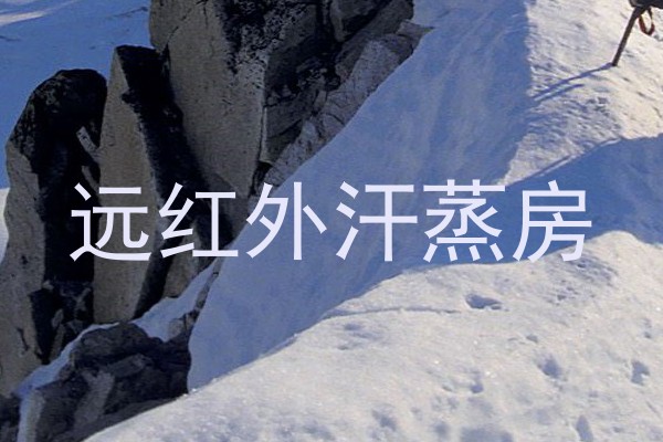 远红外汗蒸房
