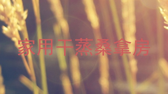 家用干蒸桑拿房
