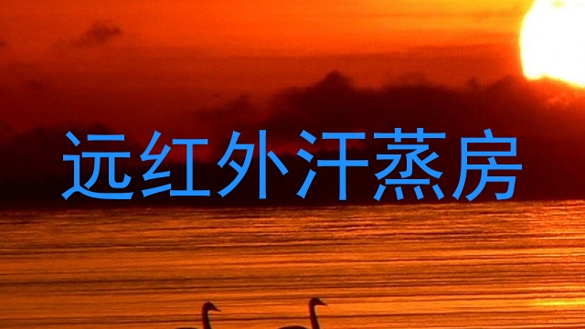 远红外汗蒸房