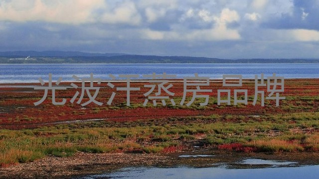 光波汗蒸房品牌