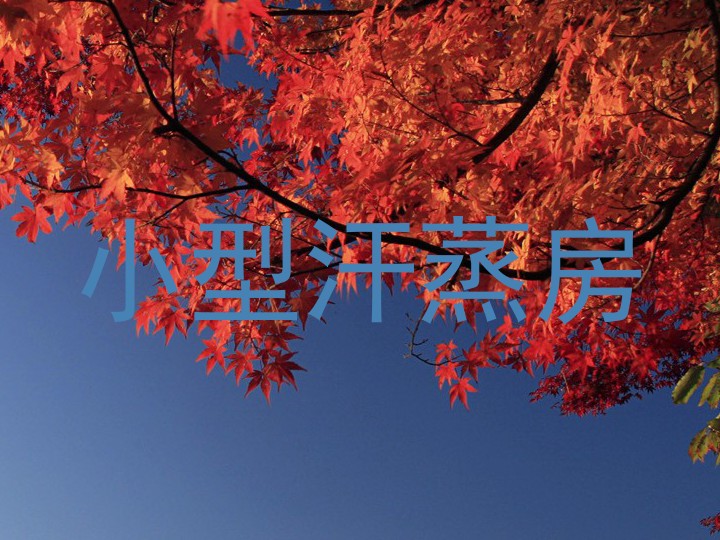小型汗蒸房