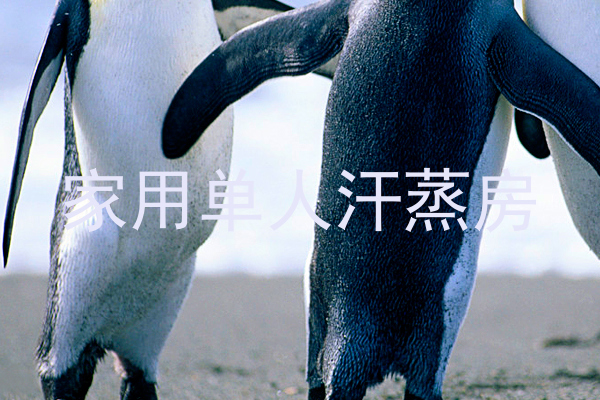 家用单人汗蒸房