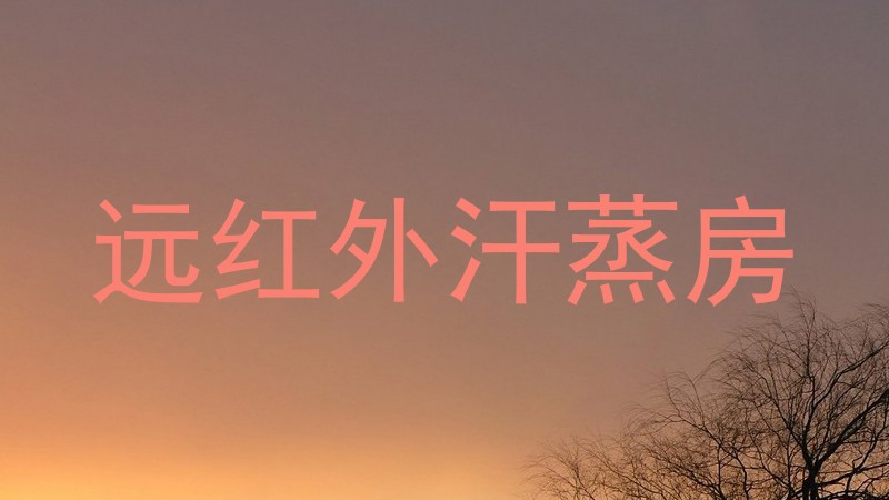 远红外汗蒸房