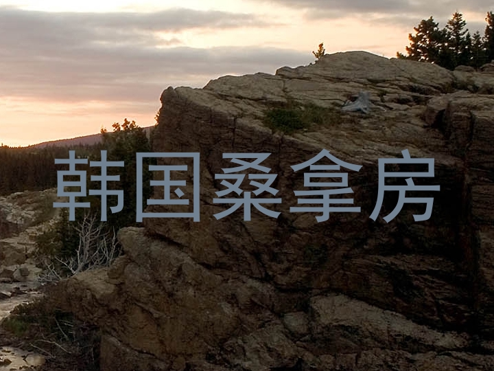 韩国桑拿房