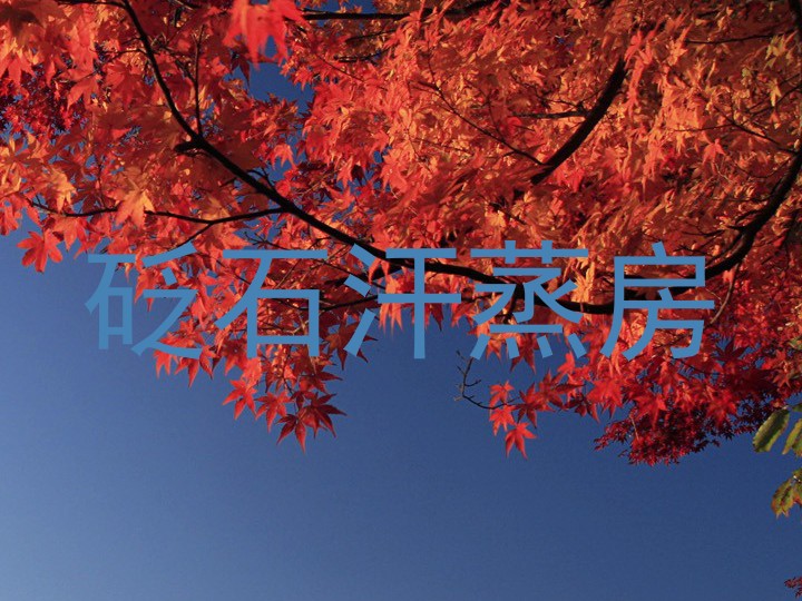 砭石汗蒸房