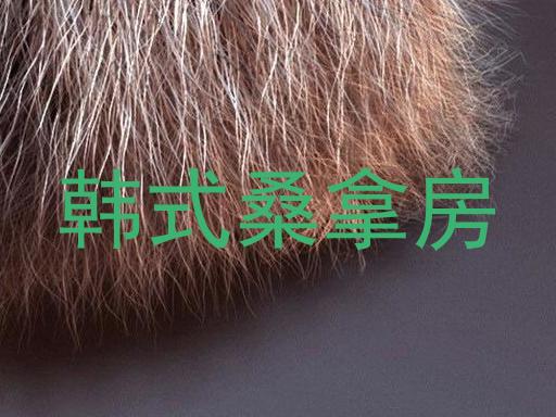 韩式桑拿房
