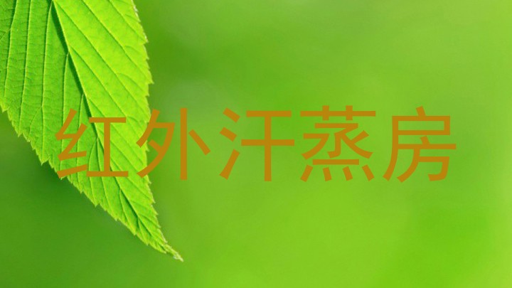 红外汗蒸房