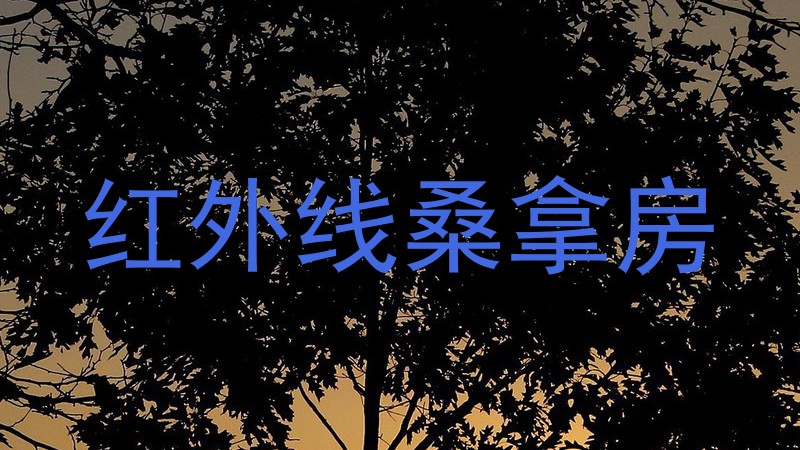 红外线桑拿房