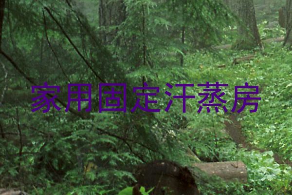 家用固定汗蒸房