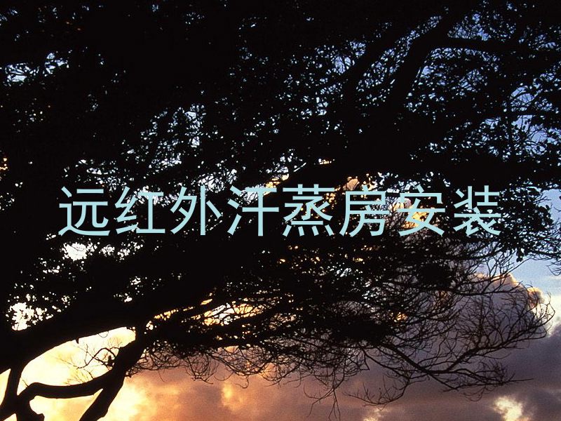 远红外汗蒸房安装
