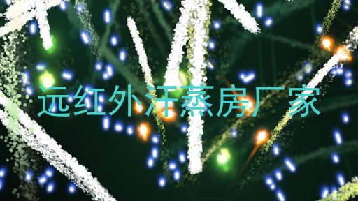 远红外汗蒸房厂家