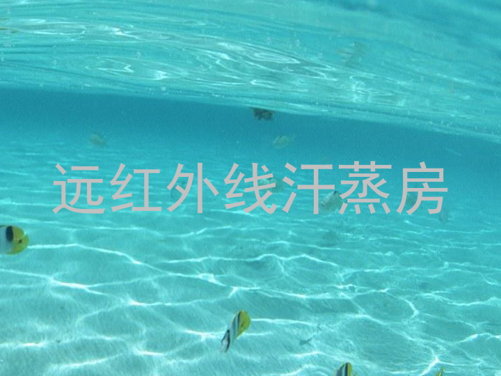 远红外线汗蒸房