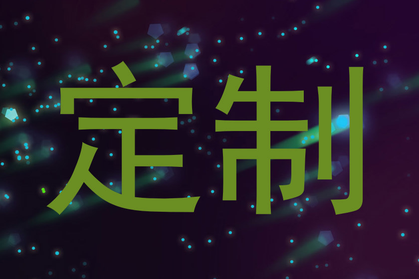定制