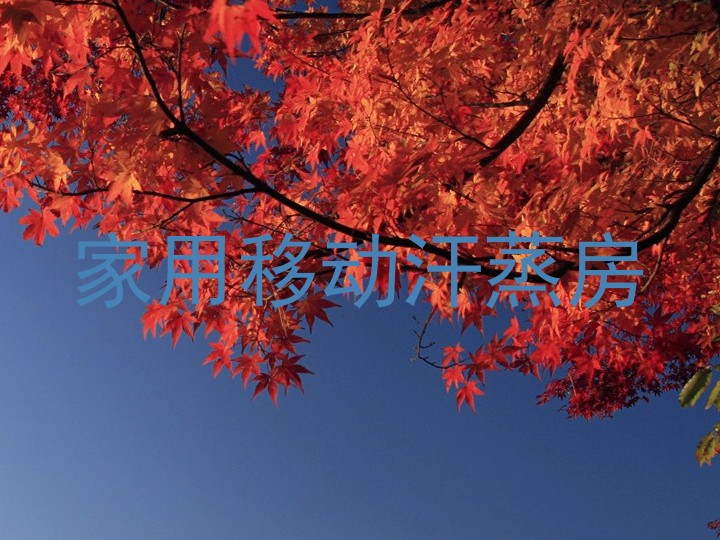 家用移动汗蒸房