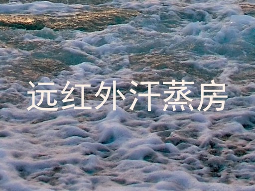 远红外汗蒸房