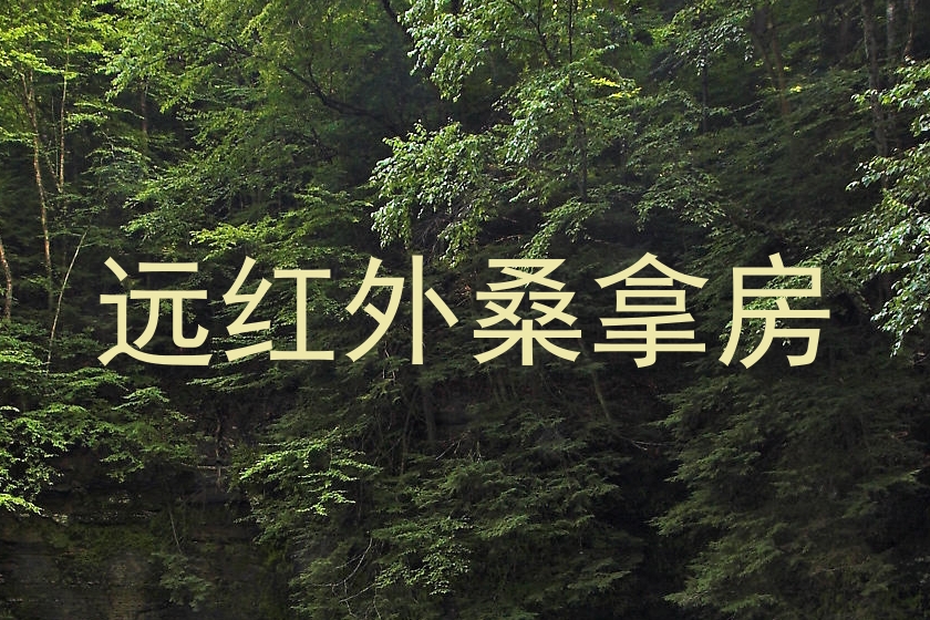 远红外桑拿房