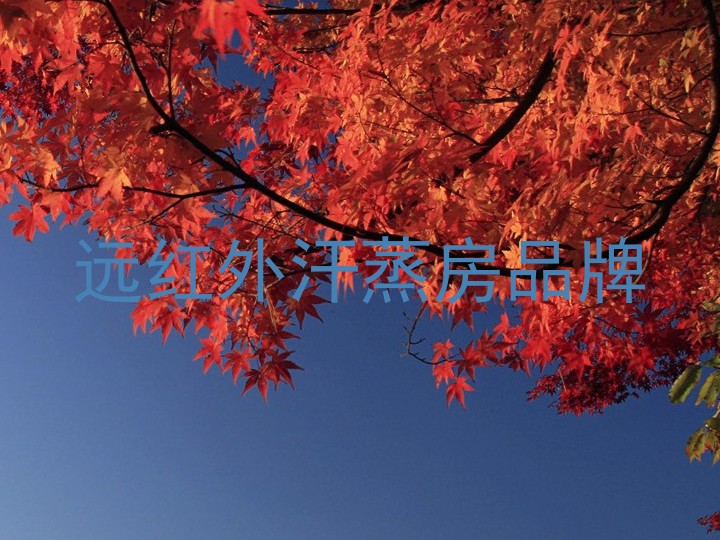 远红外汗蒸房品牌