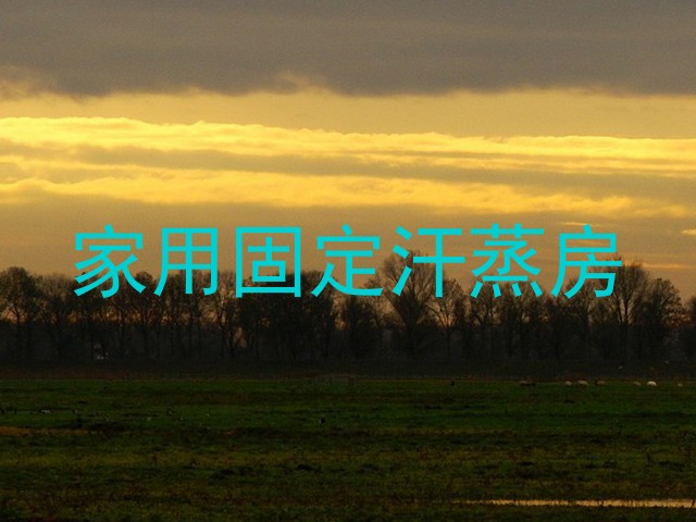 家用固定汗蒸房