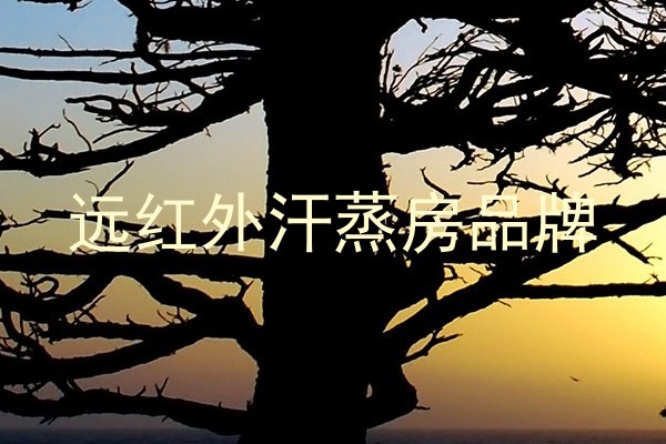 远红外汗蒸房品牌