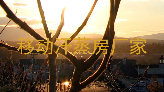 移动汗蒸房厂家