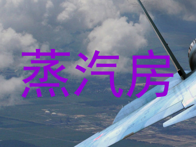 蒸汽房
