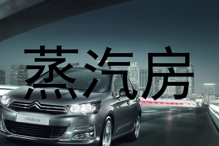 蒸汽房