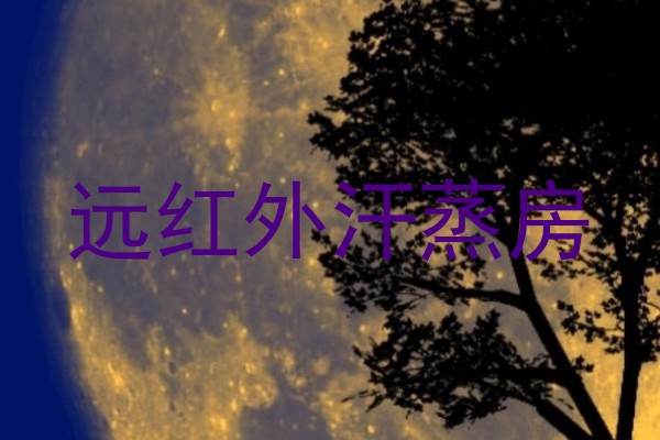远红外汗蒸房