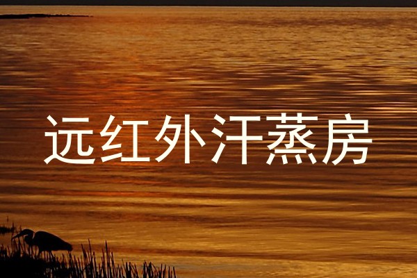 远红外汗蒸房