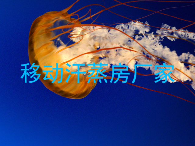 移动汗蒸房厂家