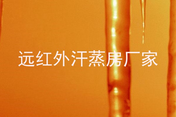 远红外汗蒸房厂家
