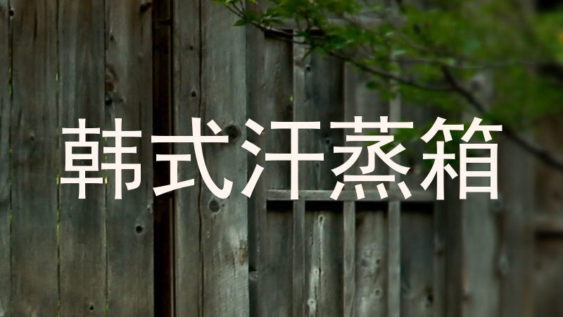 韩式汗蒸箱