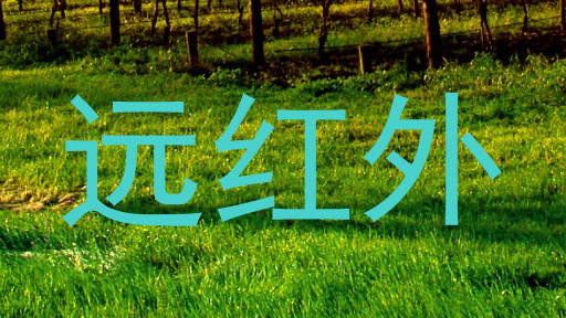 远红外