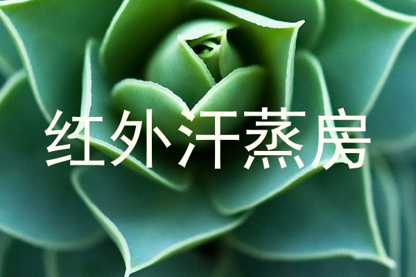 红外汗蒸房
