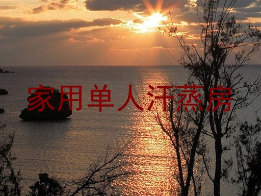 家用单人汗蒸房