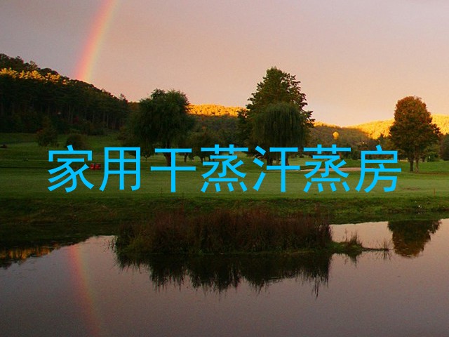 家用干蒸汗蒸房