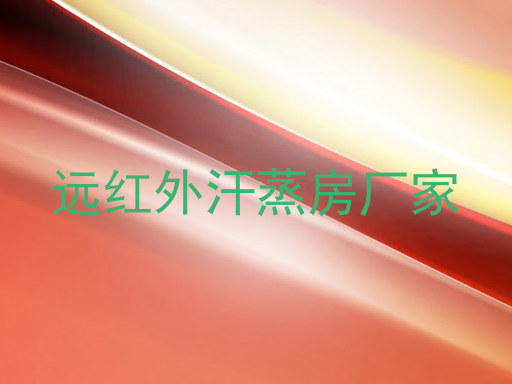 远红外汗蒸房厂家