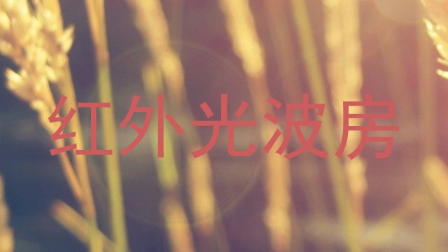 红外光波房
