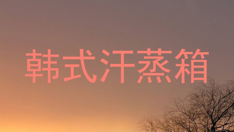 韩式汗蒸箱