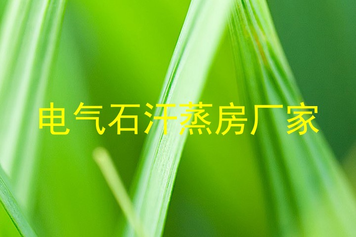电气石汗蒸房厂家