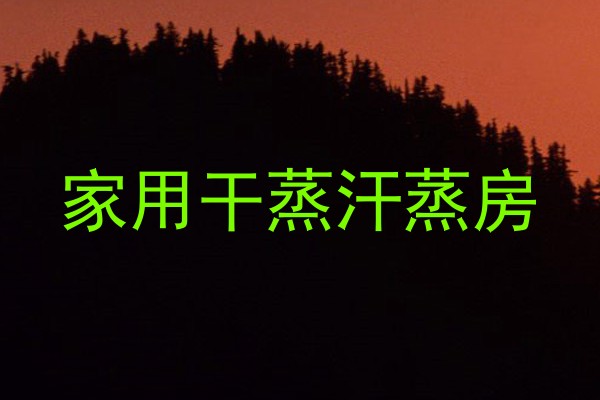 家用干蒸汗蒸房