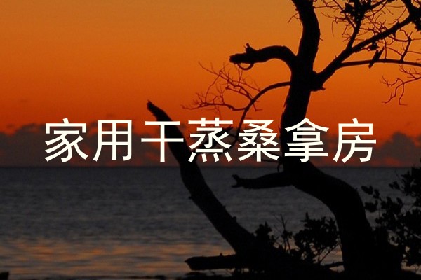 家用干蒸桑拿房