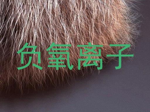 负氧离子